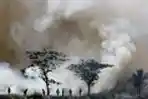 Petugas BPBD Padamkan Kebakaran Lahan Ogan Ilir