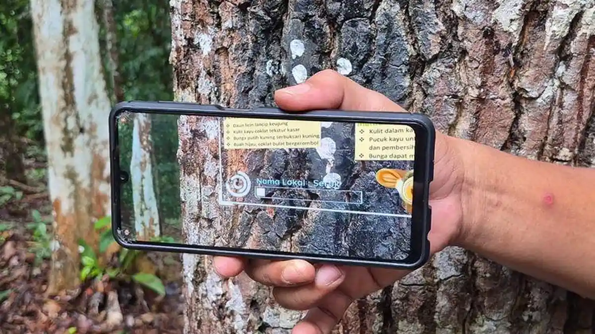 Bukan Sekadar Pantai, Intip Pesona Bukit Peramun, Hutan Digital Pertama di Belitung yang Mendunia