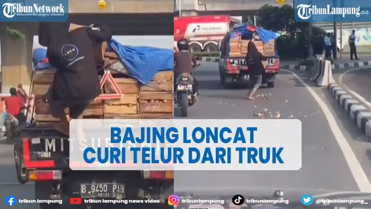 Bajing Loncat Curi Telur yang Diangkut Truk, Pelaku Diciduk setelah Videonya Viral