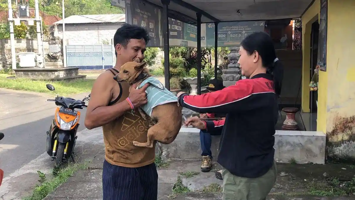 Belum Genap Sebulan, Ditemukan Seekor Anjing Rabies di Klungkung