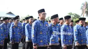 CPNS-Pemkab-Lingga-formasi-2024-terima-SK-pada-27-Mei-2025.jpg