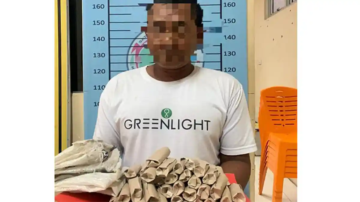 Dua Petani di Aceh Tenggara ‘Nyambi’ Jadi Penjual Ganja, Begini Nasibnya Kini