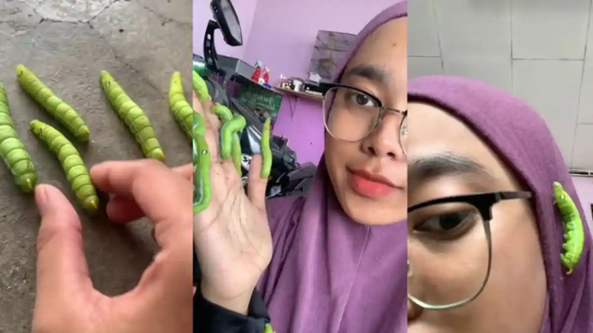 Bukan Kucing atau Anjing, Gadis Ini Pelihara Ulat, Jadi Hiasan di Kepala: Badannya Lembek, Saya Suka