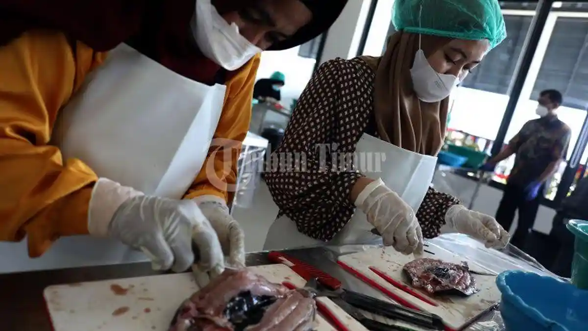 FOTO; 17 Warga Panambungan Makassar Belajar Bersihkan Duri Ikan Bandeng - sejumlah-warga-panambungan-mengikuti-pelatihan-bandeng-tanpa-duri-2.jpg