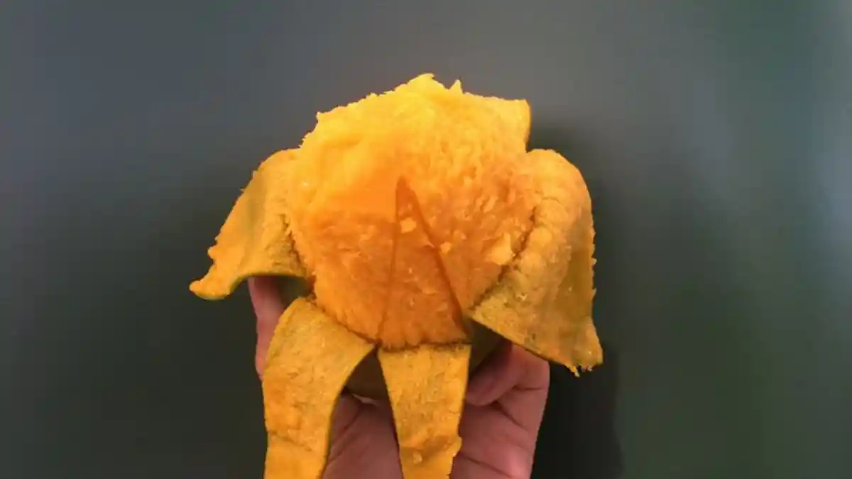 Buah Mangga Pisang Kini Lagi Tren, Sudah Pernah Coba Belum?
