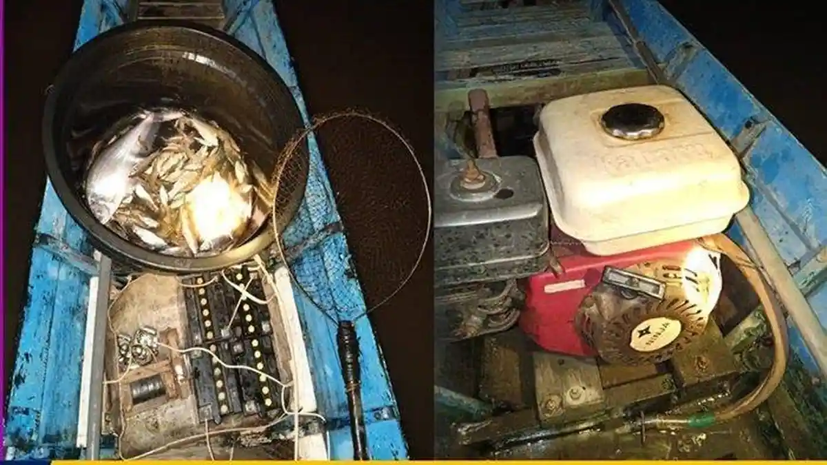 Menangkap Ikan Pakai Alat Setrum di DAS Barito, Asni Diringkus Polisi