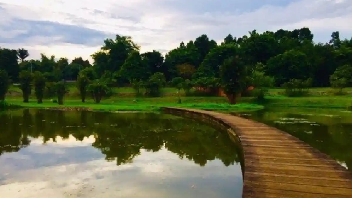 Tempat Wisata Bogor Kebun Raya Cibinong, Berikut Info Harga Tiket Masuk dan Jam Operasionalnya