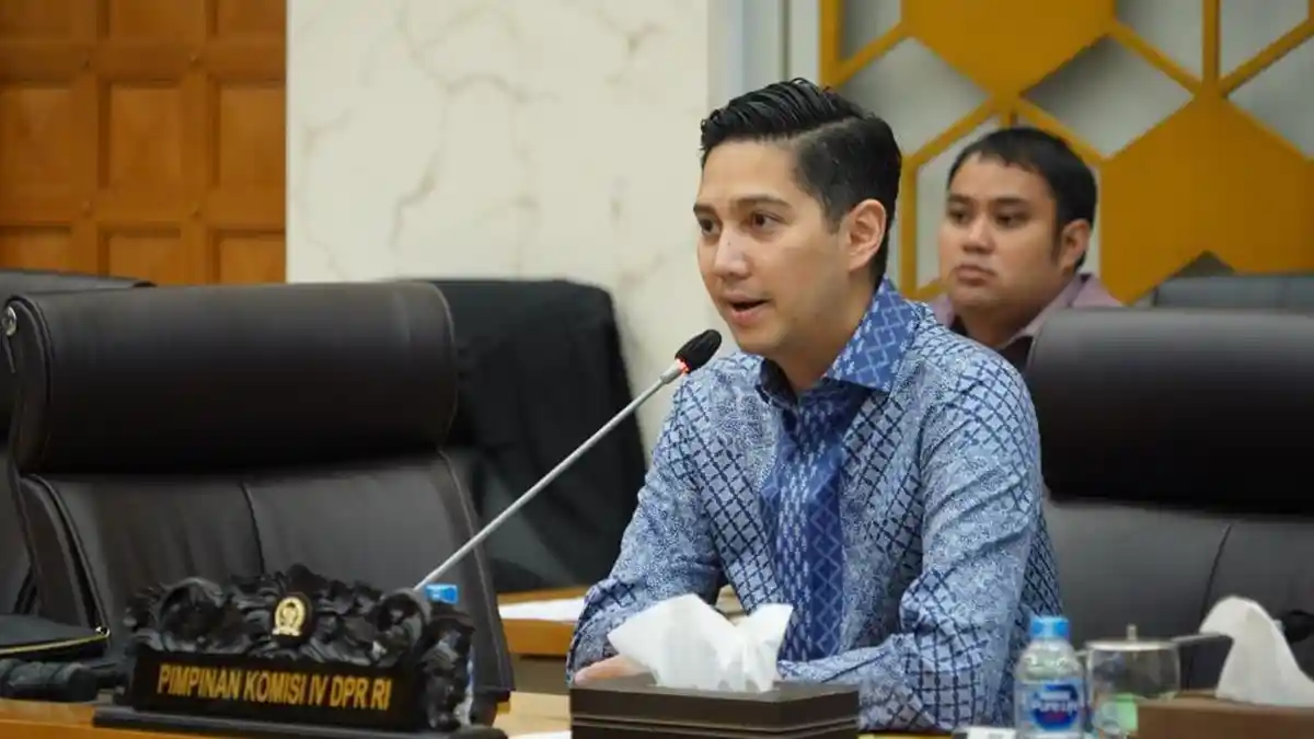 Stok Beras Nasional Tertinggi Dalam 57 Tahun, Gerindra Optimis Indonesia Tak Perlu Impor