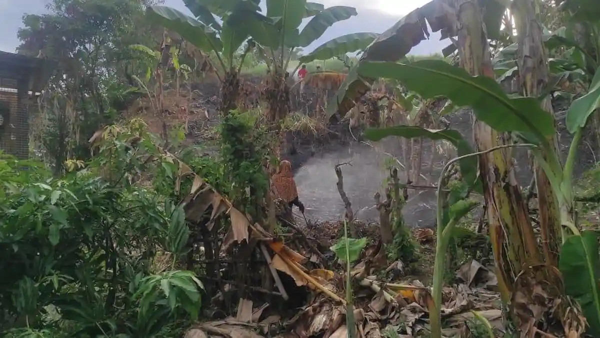 Damkar Padamkan Lahan Kebakaran di Mamuju, Api Nyaris Meluas ke Pemukiman Warga