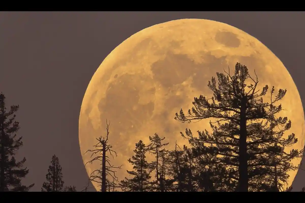 Ada Fenomena Langit Supermoon Besok Malam 1 Agustus 2023, Bakal Terjadi di Indonesia