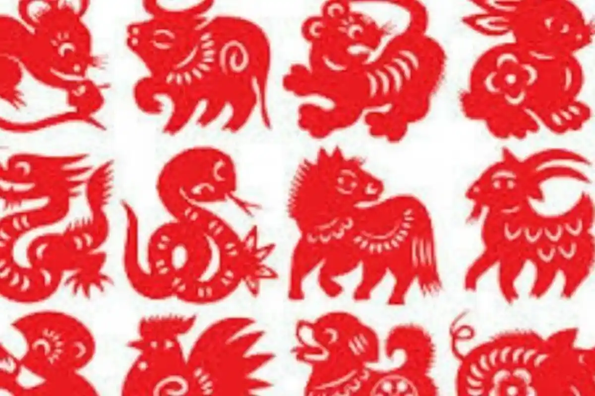 8 Shio Beruntung Besok 24 Februari 2021, Naga Punya Pikiran Tajam, Anjing Ingin Jalin Hubungan Dekat