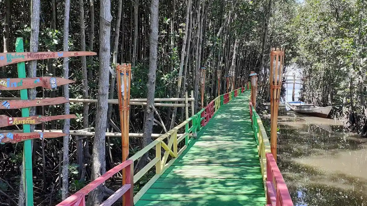 Akibat Wabah Virus Corona, Wisata Hutan Mangrove Jeneponto Sepi