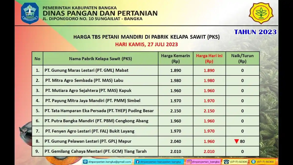 PT GPL Turunkan Harga TBS Sawit Rp 80 Per Kilogram, Delapan Perusahaan Lainnya Bertahan