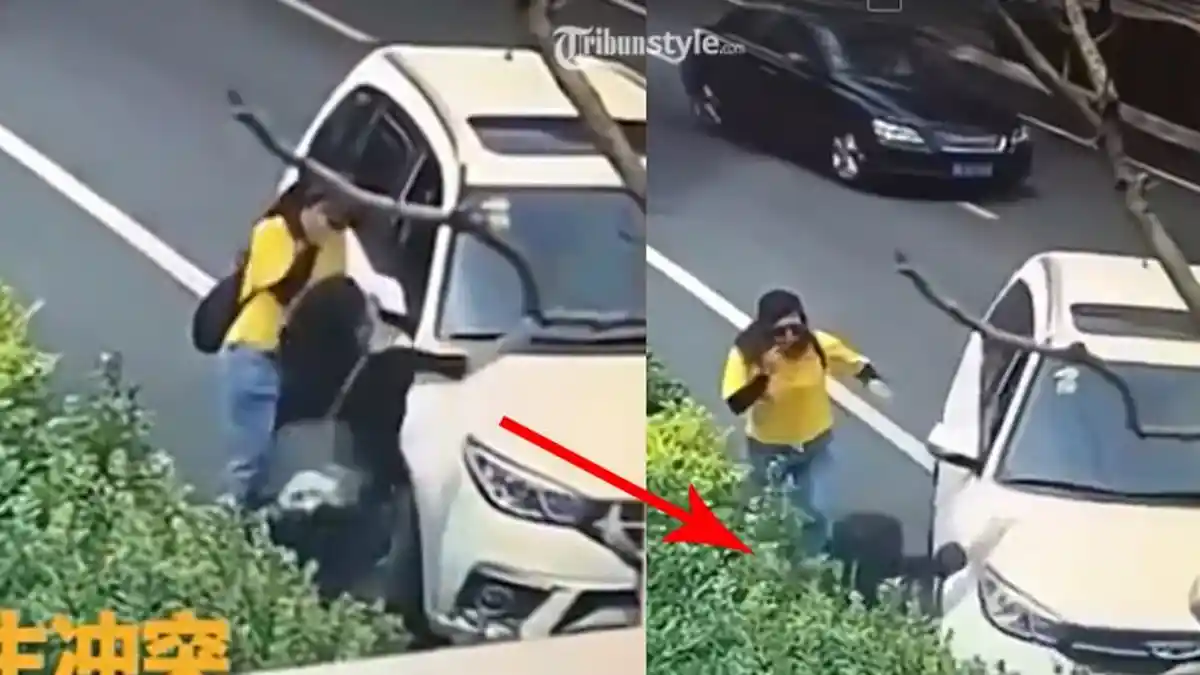 Viral, Video Wanita Terlindas Usai Marah & Lempar Batu ke Mobil, Begini Kondisinya Sulit Dipercaya