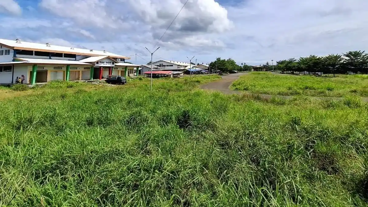 Area Luar Pasar Rakyat Morotai 'Dikepung' Rumput Liar, Pedagang Beri Solusi Nyeleneh