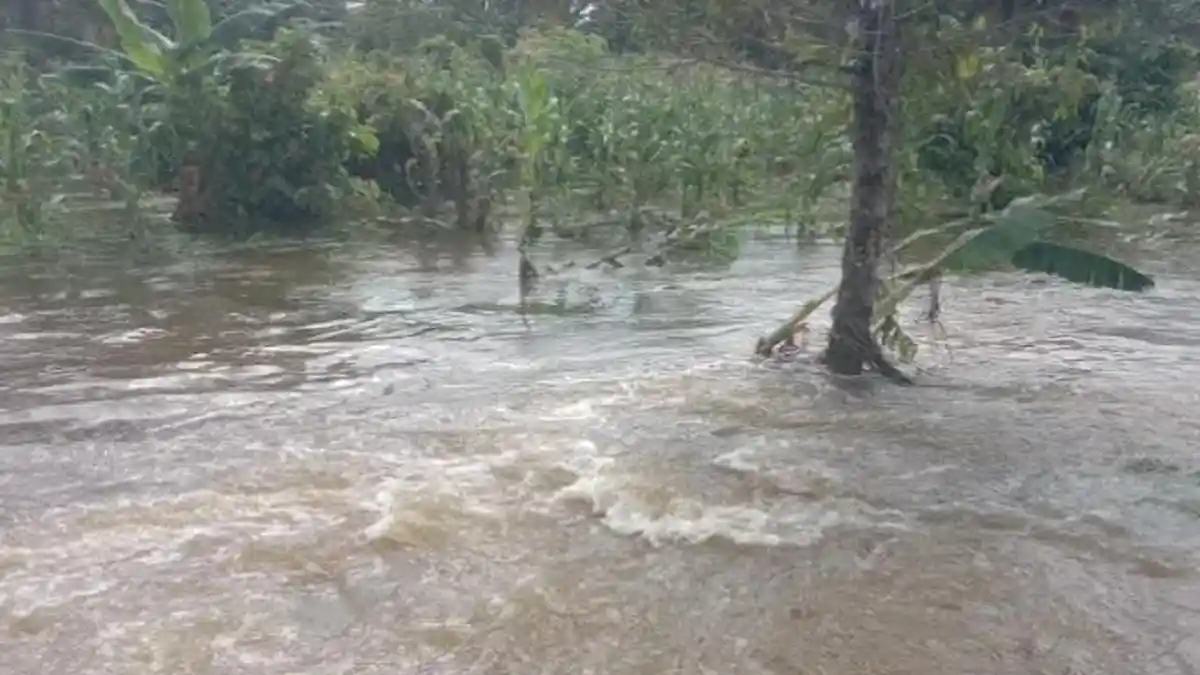 129 Rumah dan Ratusan Hektare Lahan Pertanian Terendam Banjir di Baebunta Luwu Utara