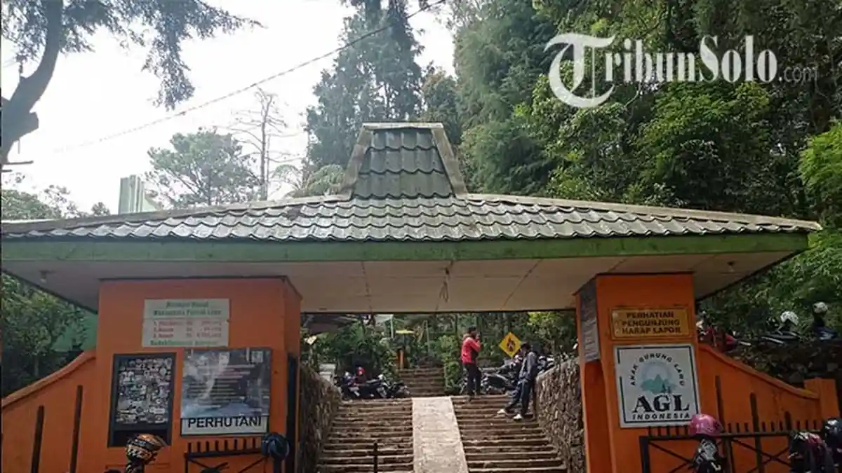 Gunung Lawu Dibuka, Sudah Tiga Pekan Tapi Masih Sepi Pendaki: Penyebannya Faktor Cuaca dan PPKM