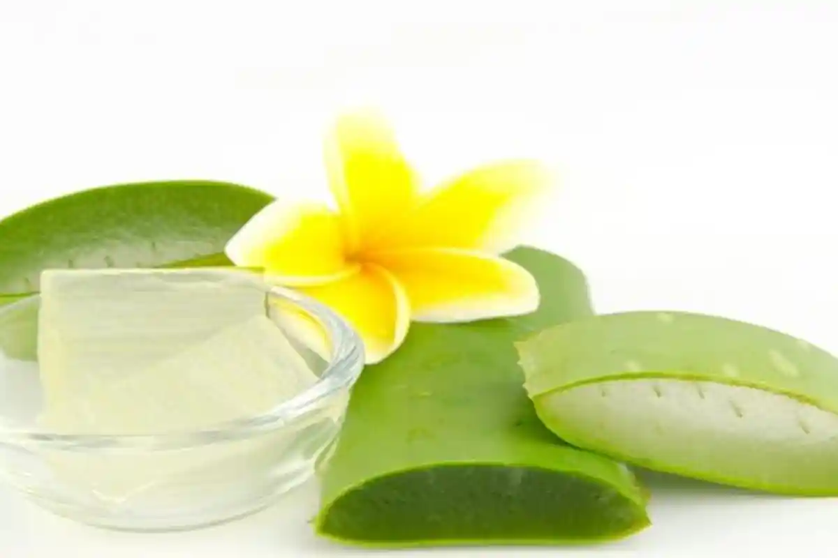 Begini Cara Mengolah Lidah Buaya agar Kulit Awet Muda, Hasilnya Luar Biasa