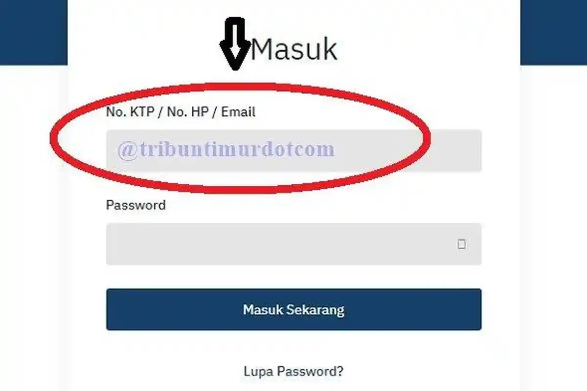 Cek Nama yang Valid di Kemnaker.go.id, Progres Penyaluran BLT / BSU Jamsostek Tahap 5, Login SSO