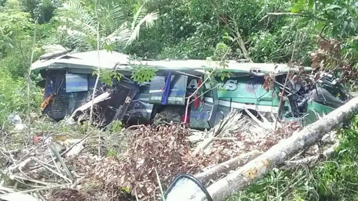 Ternyata Sopir Bus ALS yang Masuk ke Jurang Pilih Kabur Usai Kecelakaan