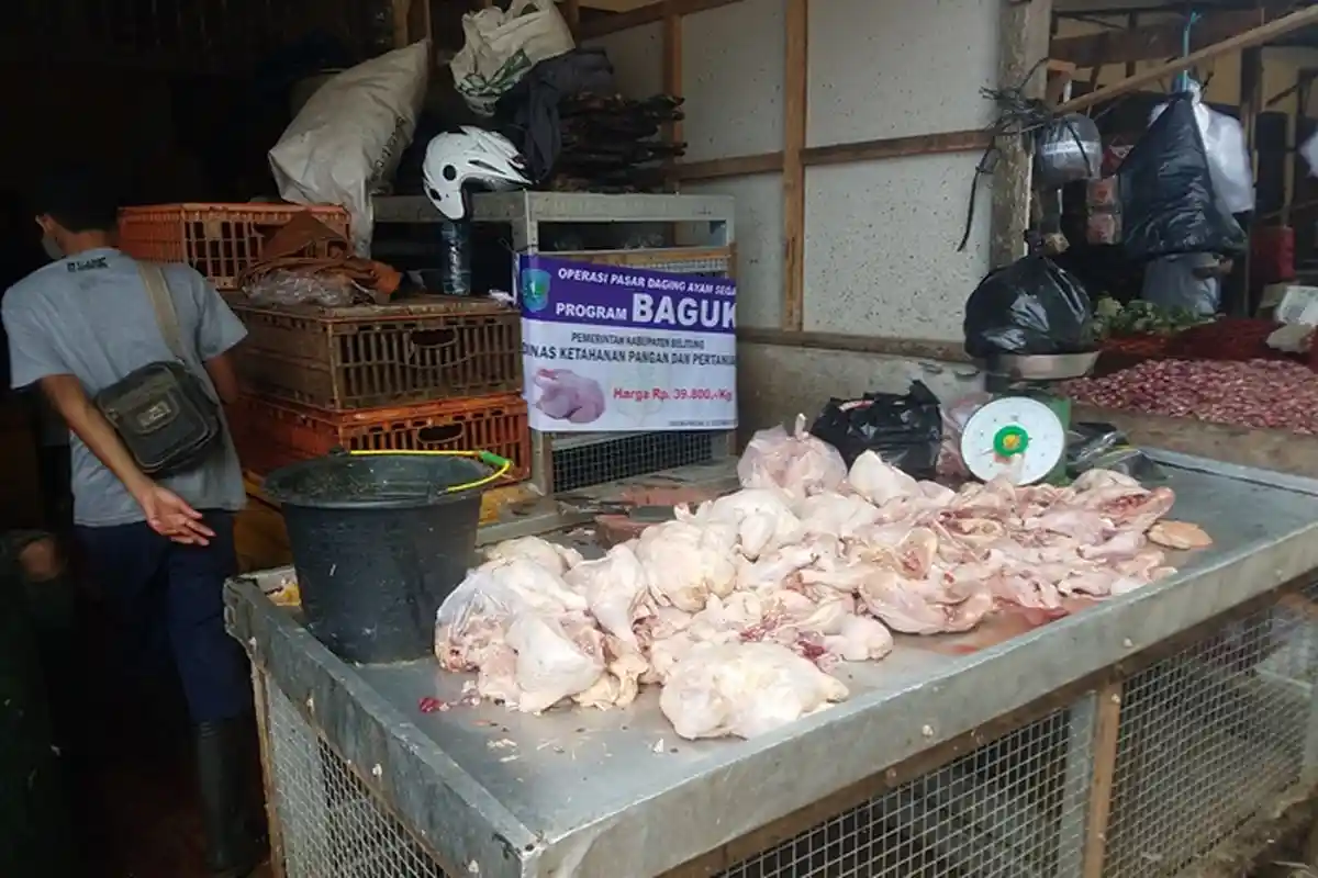 Hindari Melakukan 3 Kesalahan Sepele Ini Jika Tak Mau Olahan Daging Ayam Anda Cepat Busuk