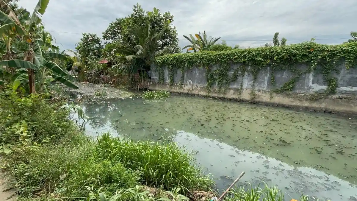 Drainase 50 Meter di Darma Polewali Tersumbat Sampah, Warga Keluhkan Banjir dan Bau Busuk