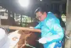 Tiga Sapi di DIY Mati Akibat PMK, Pemerintah Gencarkan Vaksinasi