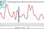 Grafik-jumlah-kasus-DBD-di-Jember-selama-Januari-2025.jpg