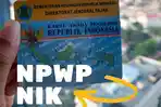 ilustrasi-kartu-tanda-penduduk-ktp-dan-nomor-pokok-wajib-pajak-npwp.jpg