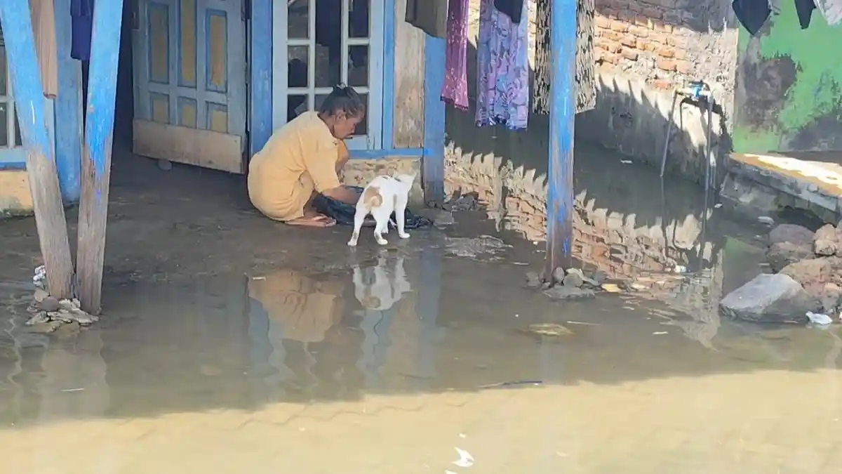 Jeritan Hati Warga Langganan Rob di Kendal, Warsiti dan Keluarga Memilih Tidur di Perahu