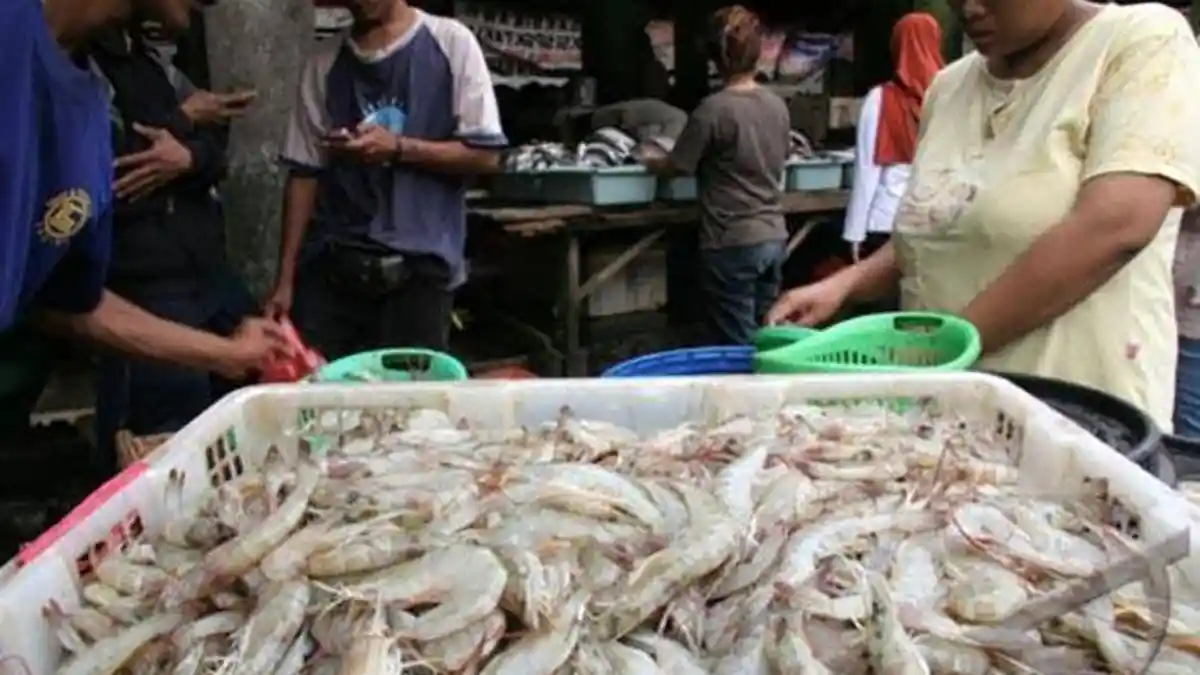 Harga Udang Segar Melonjak di Pasar Kota Medan, Capai Rp 100 Ribuan Per Kg