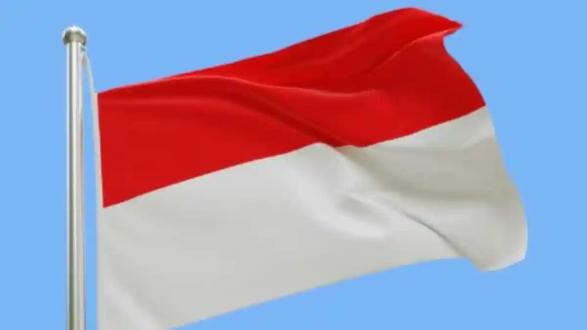 Ilustrasi-Bendera-Merah-Putih-saat-Upacara.jpg