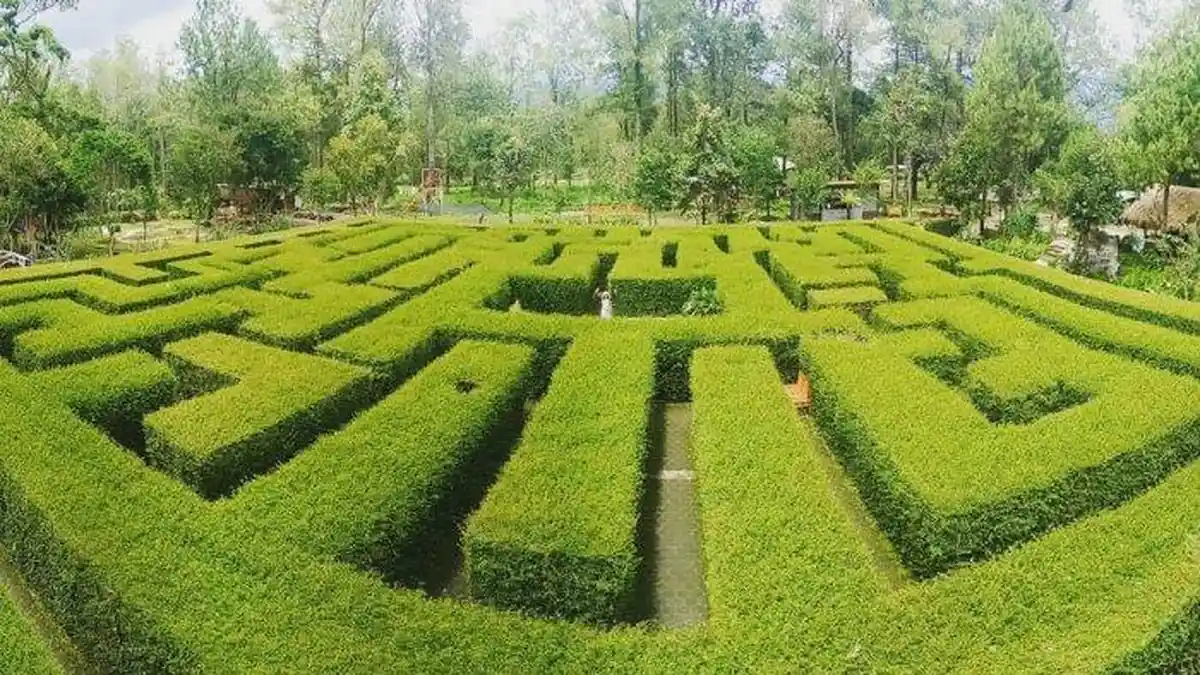 Cuma 10 Km dari Batu, Bisa Liburan Asyik di Malang, Main Kejar-kejaran di Taman Labirin