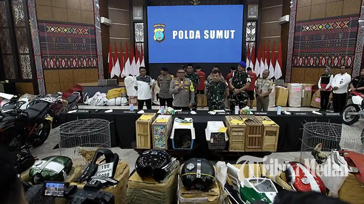 INILAH Barang-barang Asal Thailand yang Disita Polda Sumut-Kodam I BB, Moge hingga Puluhan Hewan