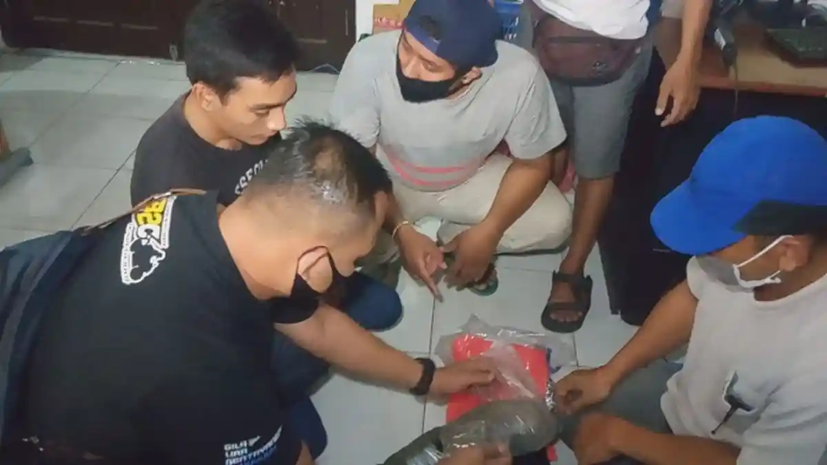 Malam Puncak Pilkada 2020 di NTB, Pria Asal Malang Ditangkap Selundupkan Ganja 1 Kilogram
