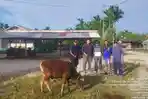 Salurkan 28 Ekor Sapi dan 30 Ekor Kambing Qurban Wujud Kepedulian bagi Masyarakat Sekitar