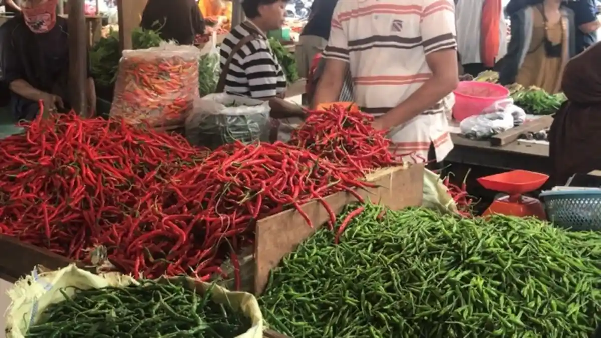 Harga Cabai Rawit di Kota Jambi Membuat Cemas, Hampir Sentuh Rp 100 Ribu per Kilogram