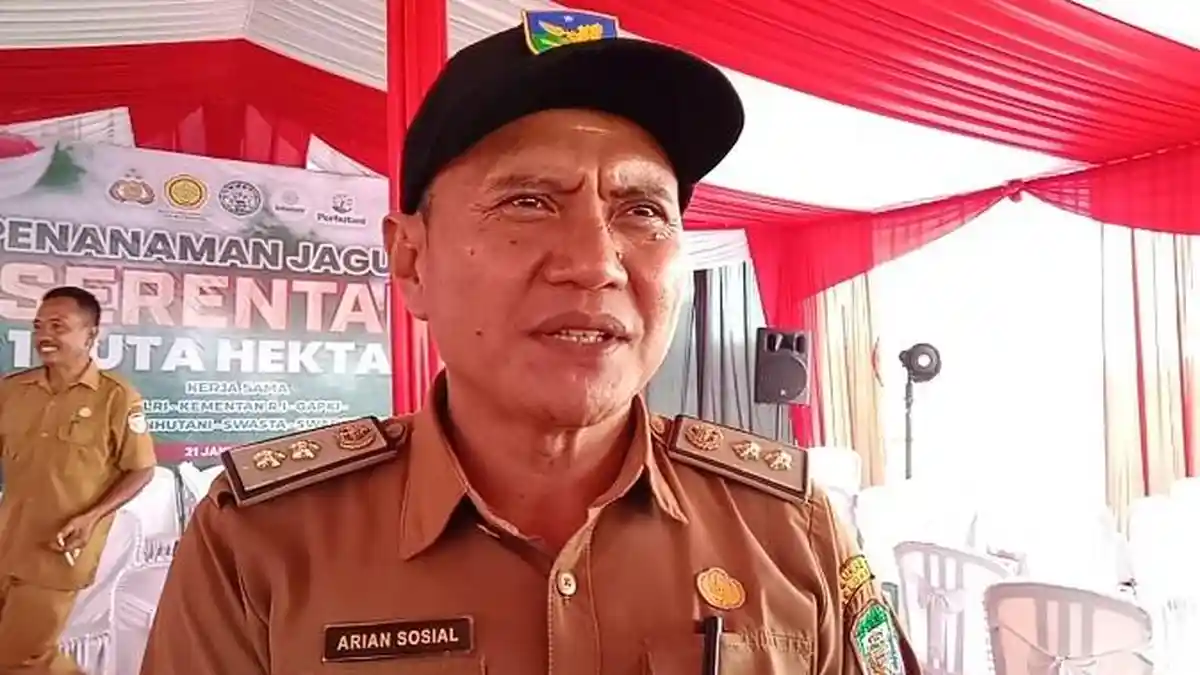 186,2 Hektare Lahan Pertanian Seluma Bengkulu Terdampak Banjir