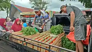 Sgen-Tomat-yang-sedang-menurunkan-Tomat-di-Pasar-Nendagung-Kota-Pagaralam.jpg