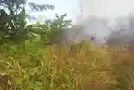 lahan-ilalang-terbakar-gegara-puntung-rokok.jpg