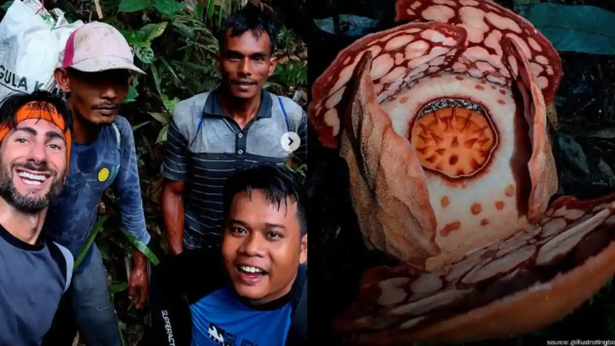 Sosok 3 Peneliti Indonesia Temukan Rafflesia Hasseltii, Namanya Tak Disebut University of Oxford