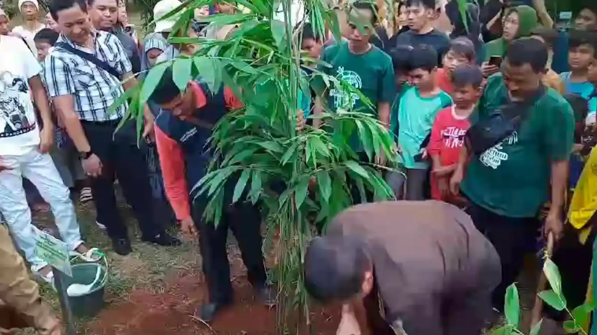 Bambu Indonesia Diincar China sampai AS, Gerakan Nasional Menanam Bambu Kian Dapat Dukungan