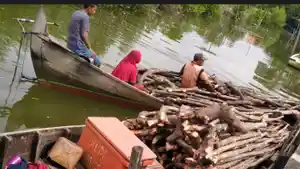 kayu-90ojpu.jpg