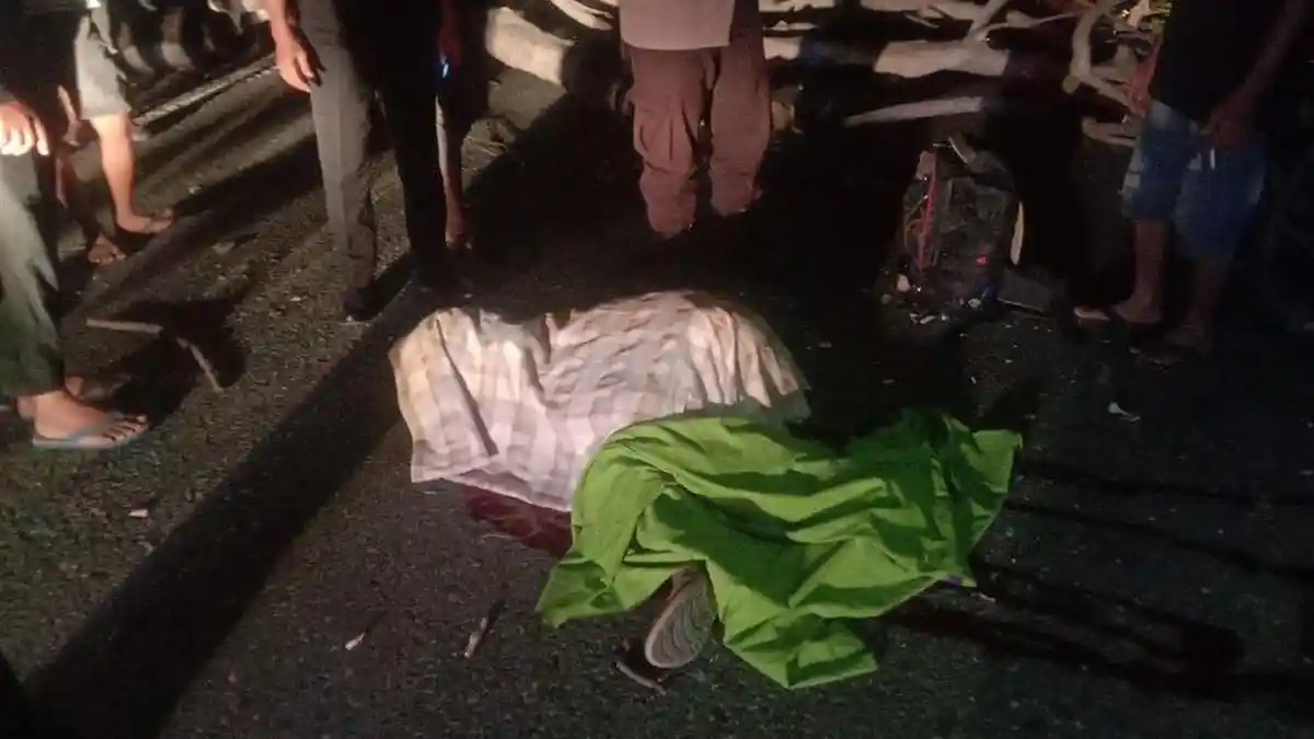 Orang Tutar Tewas Tertimpa Pohon di Majene Saat Melintas Naik Motor