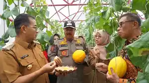 180224__Pj_Gubernur-Bupati_panan_melon_di_greenhouse_WPS.jpg