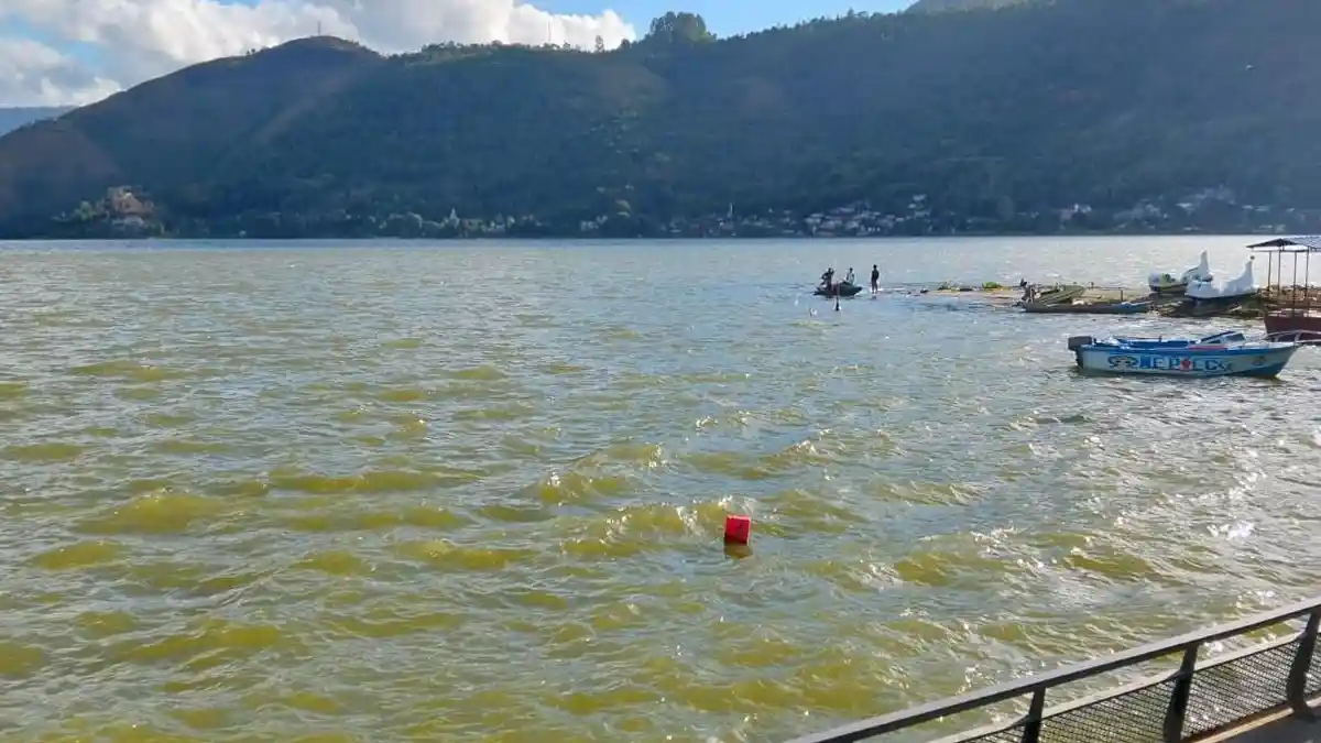 5 Fakta Air Danau Toba Keruh Hingga Picu Kerugian Rp 10 Miliar