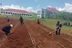 Fakultas-Pertanian-Faperta-Universitas-Papua-UNIPA-menerapkan-program-Ayo-Berkebun.jpg
