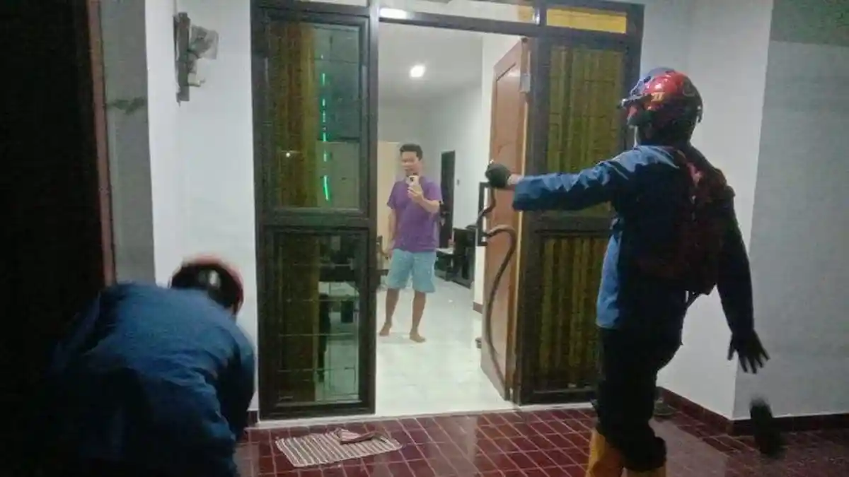 Ular Tiba-tiba Jatuh dari Plafon Rumah Kejutkan Warga Bogor