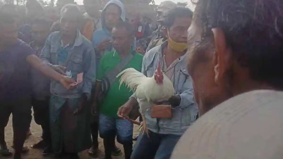 Biarkan Warga Berkerumun, Tokoh Masyarakat Minta Bupati Belu Tegur Kades Fulur