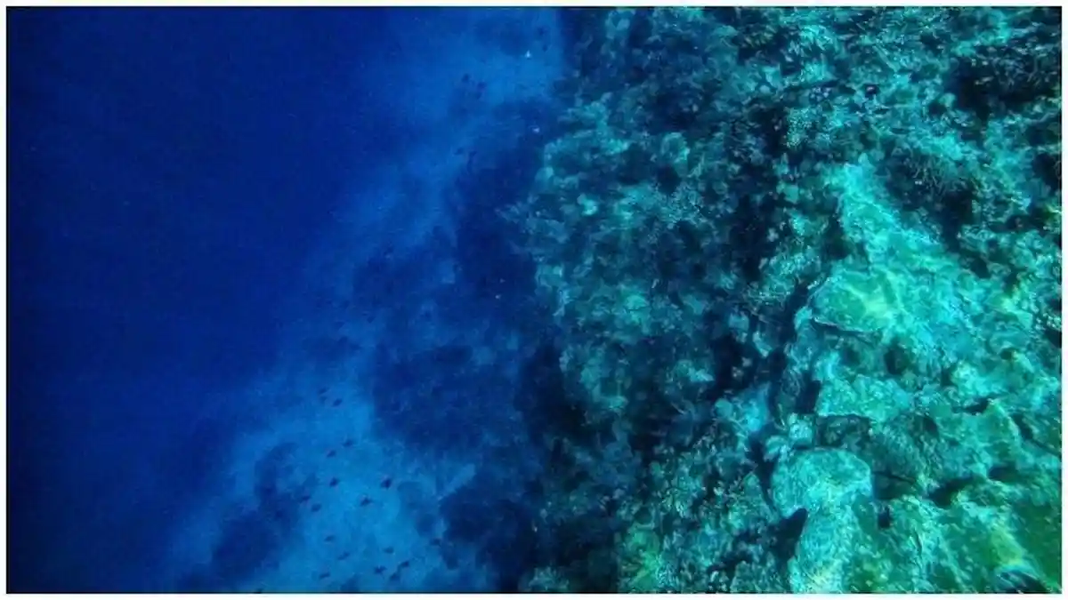 Pulau Kambing, Objek Wisata Tak Berpenghuni di Teluk Bima NTB Terbakar
